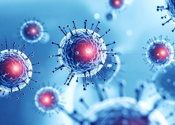Kontak Erat Pasien Hantavirus di Jakarta Negatif, Pemantauan Dilakukan Dua Pekan