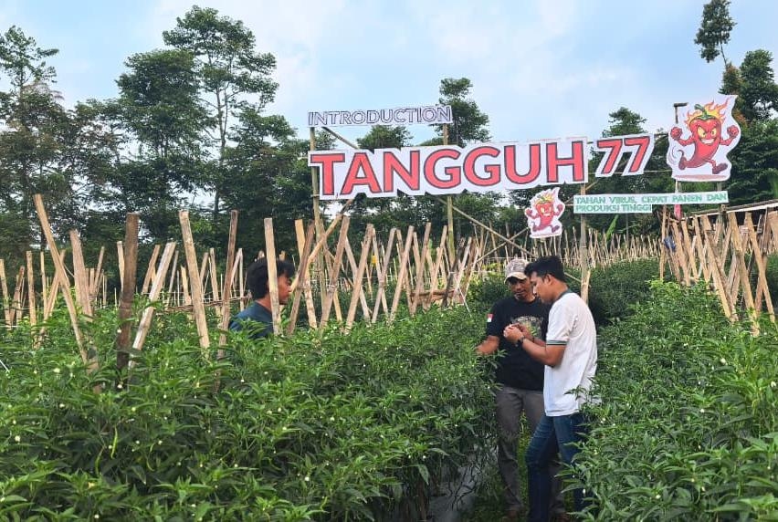Petani di Jawa Barat Bersiap Hadapi Musim Kering