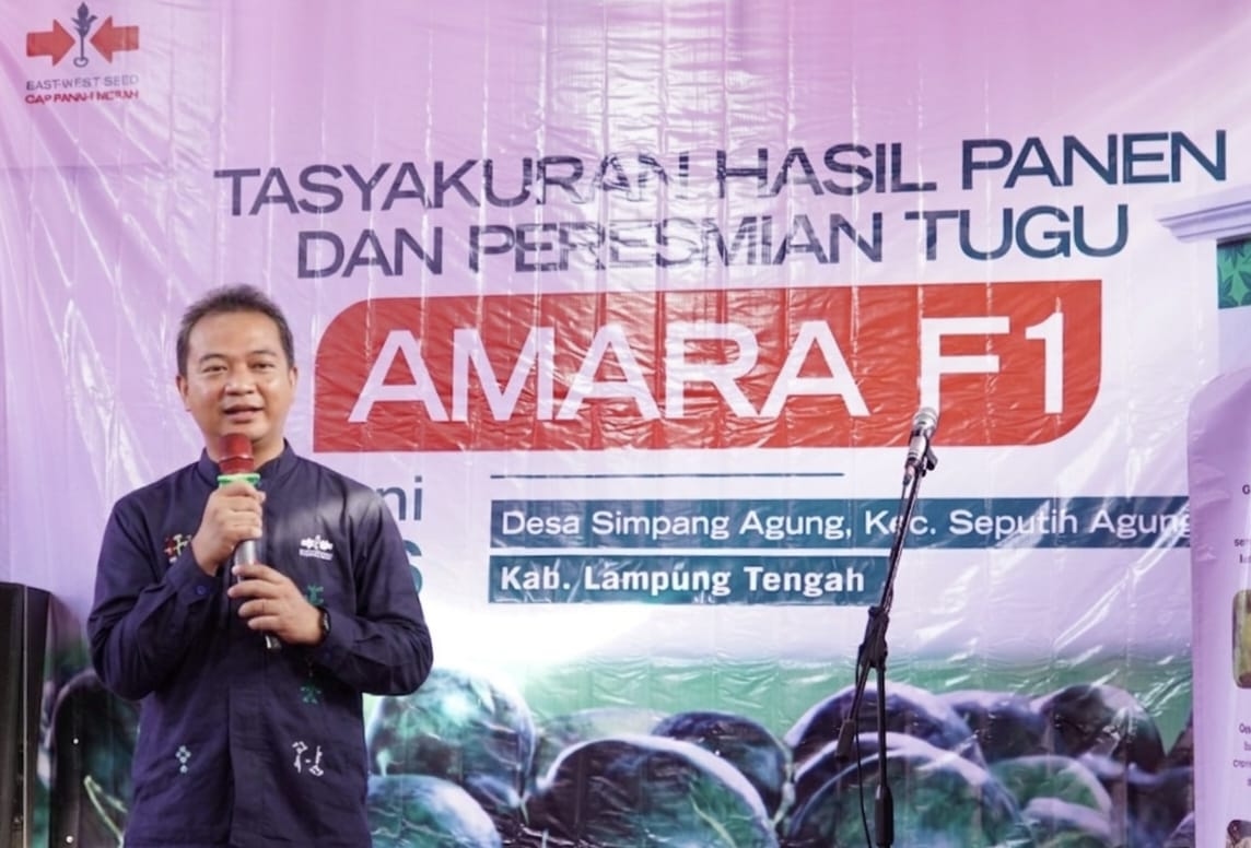 Lampung Kian Mengukuhkan Diri sebagai Sentra Semangka Nasional