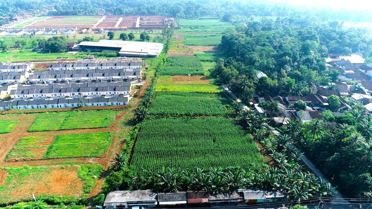 Badan Bank Tanah Target Kelola 35.000 Ha Lahan Baru di 2026