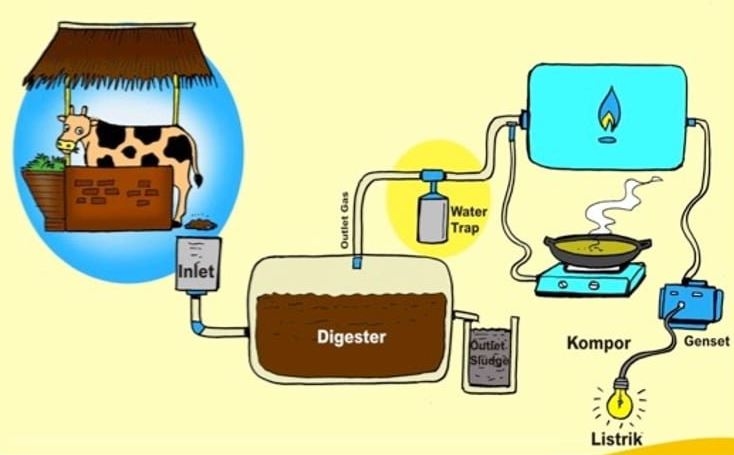 Apa Manfaat Biogas bagi Rumah Tangga? Ini Keuntungan Ekonomi, Lingkungan, dan Energi yang Perlu Diketahui