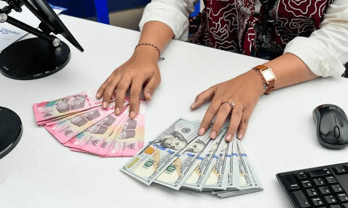 BI-Kemenkeu Sinkronkan Kebijakan Likuiditas hingga Arus Modal Asing