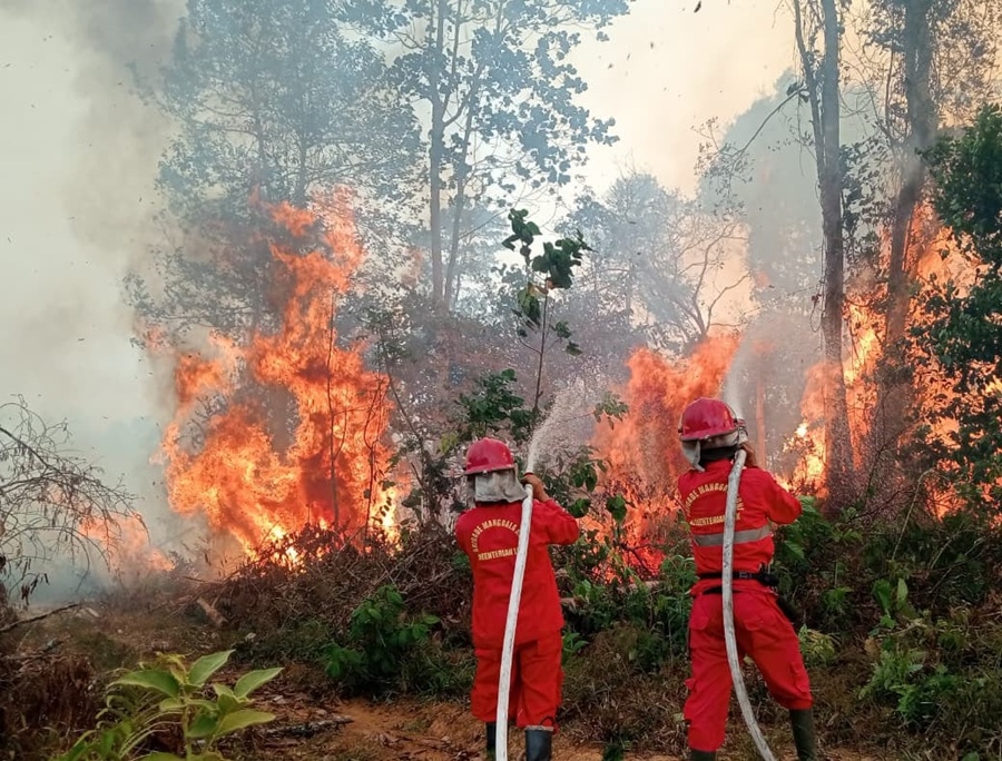 Kemendikdasmen Segera Perbarui SE Protokol Pembelajaran Darurat untuk Wilayah Terdampak Karhutla