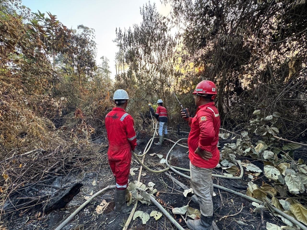 Cuaca Ekstrem, Pengamanan Lahan Konsesi Harus Lebih Ekstra untuk Cegah Karhutla
