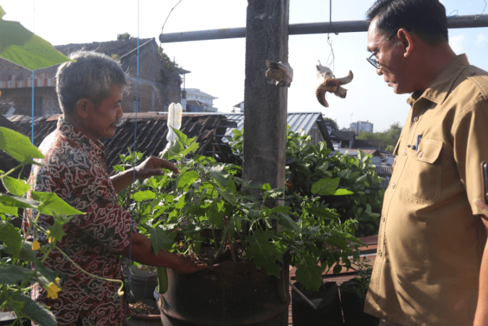 Cara Menanam Sayur di Halaman Sempit: Panduan Praktis untuk Pemula 
