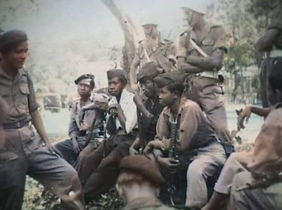 Apa Peran Tentara Keamanan Rakyat (TKR) Setelah Kemerdekaan? Ini Penjelasan Lengkapnya