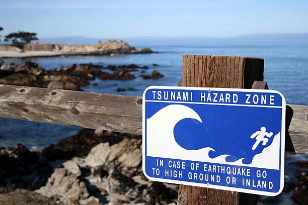 Kenali Tanda Tsunami Sejak Dini, Ini Sinyal Alam yang Tak Boleh Diabaikan