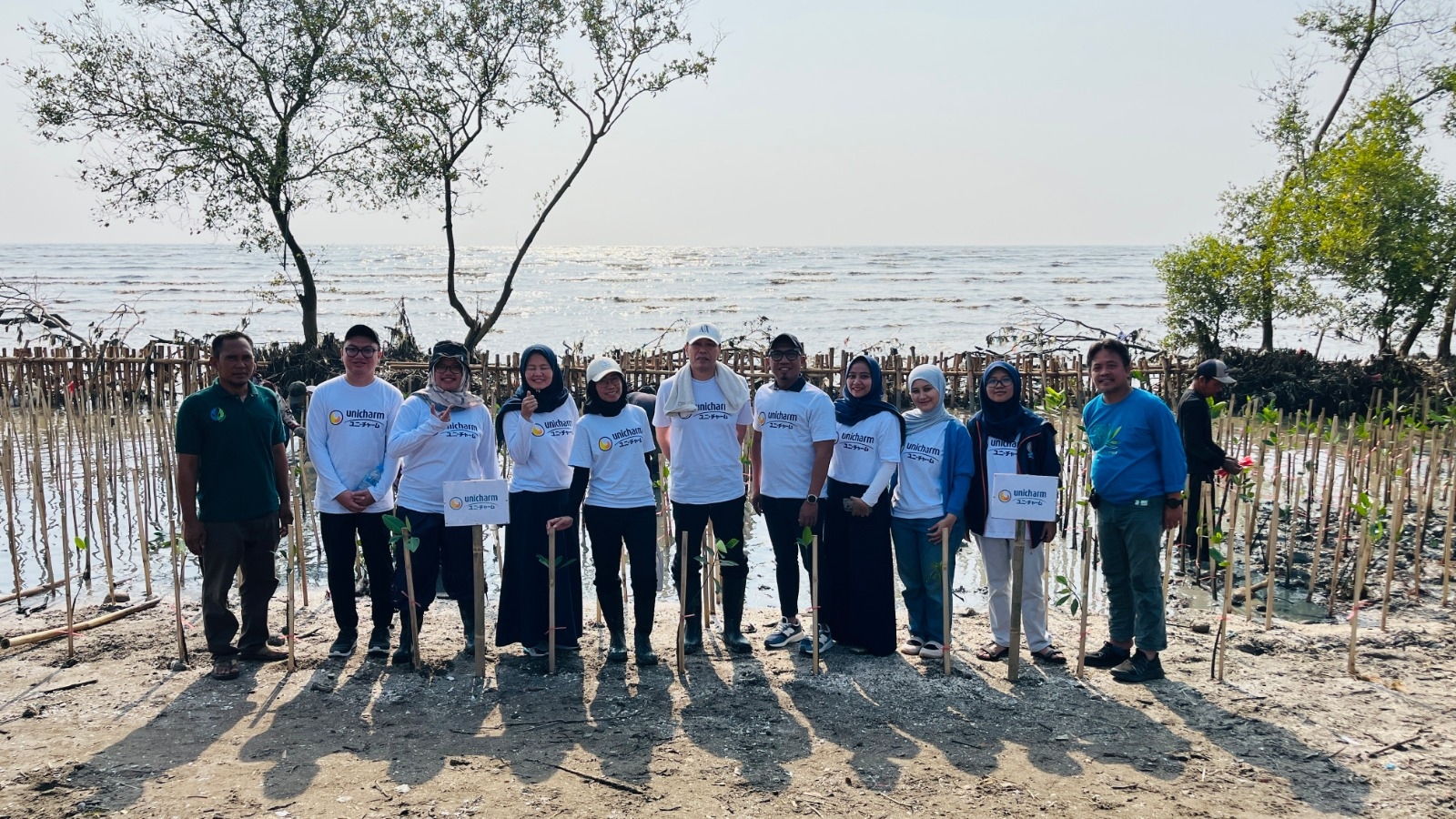 Sambut Hari Mangrove Sedunia, Unicharm Indonesia Tanam 1.000 Bibit Pohon di Pesisir Karawang