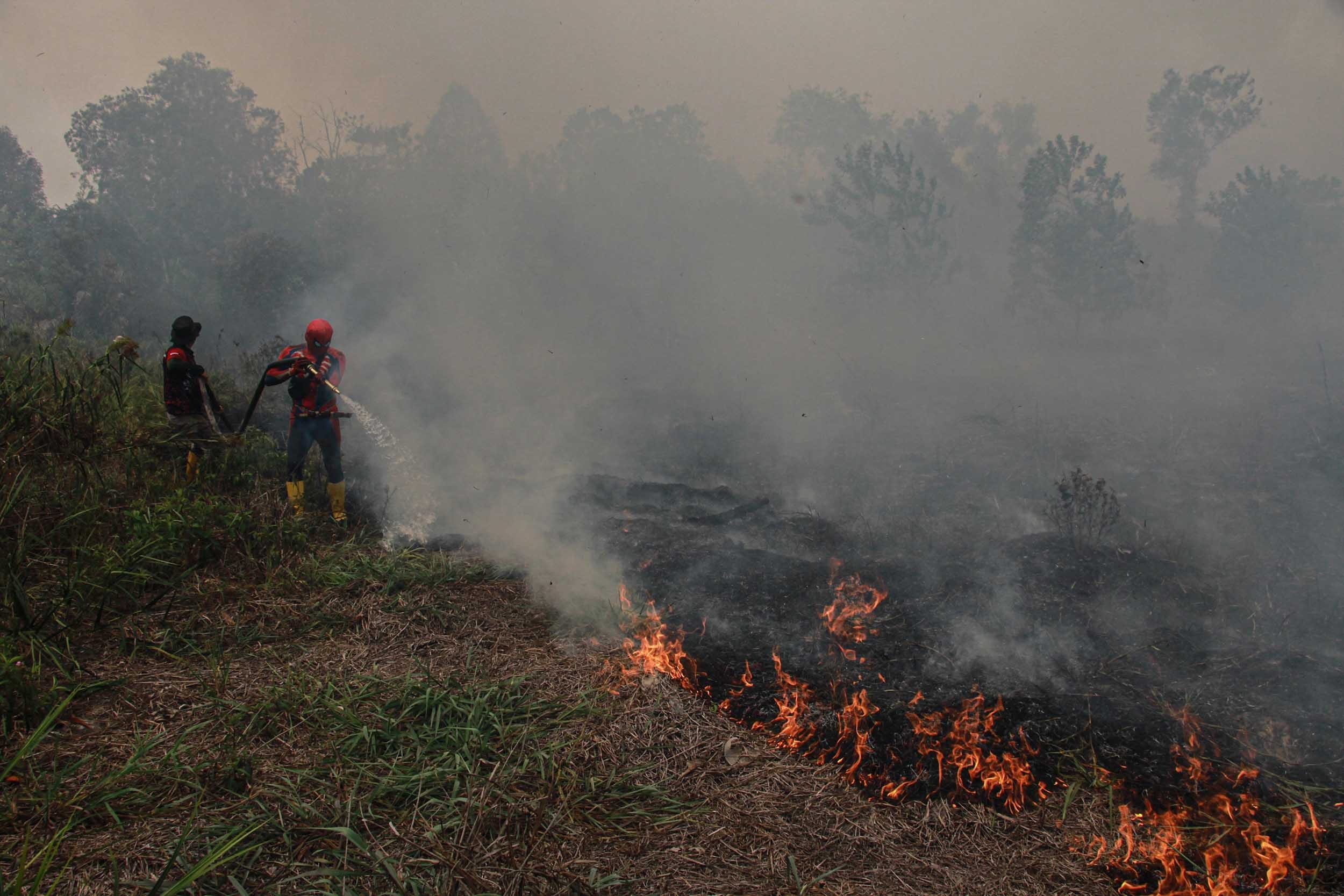 Titik Api Karhutla Melonjak Jadi 793: Tak Cuma di Kalimantan, Merauke Juga Dilanda Kebakaran