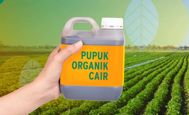 Cara Membuat Pupuk Organik Cair dari Nasi Basi, Murah dan Ramah Lingkungan 
