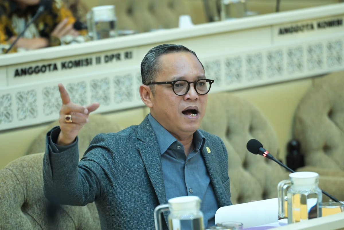 Ambang Batas Parlemen Ideal di 4-7 Persen, Deddy Sitorus: Untuk DPR yang Efektif