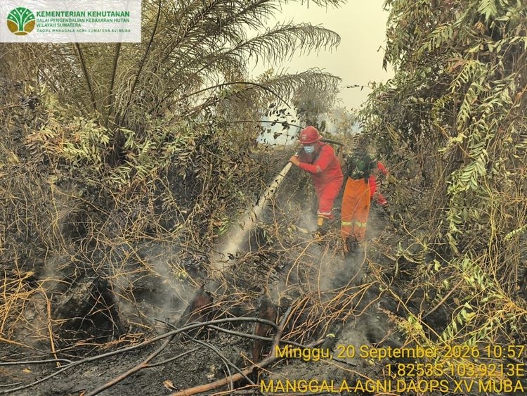 Pemerintah Perkuat Pengendalian Karhutla Kalteng-Sumsel, 64 Armada Udara Dikerahkan