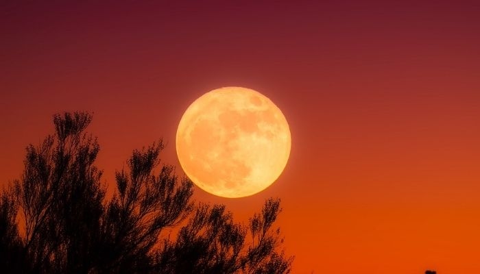 Bukan Bulan Purnama Biasa, Kenali Harvest Moon yang Hiasi Langit 26 September 2026
