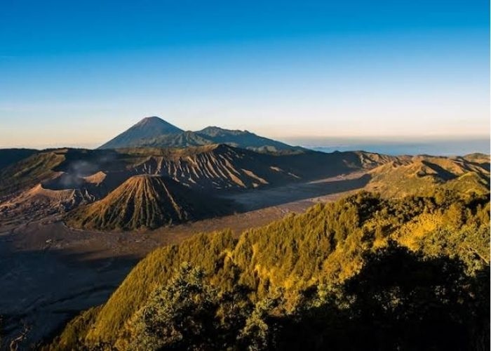 Penyebab Blue Fire Muncul di Gunung Papandayan, Apakah Berbahaya?