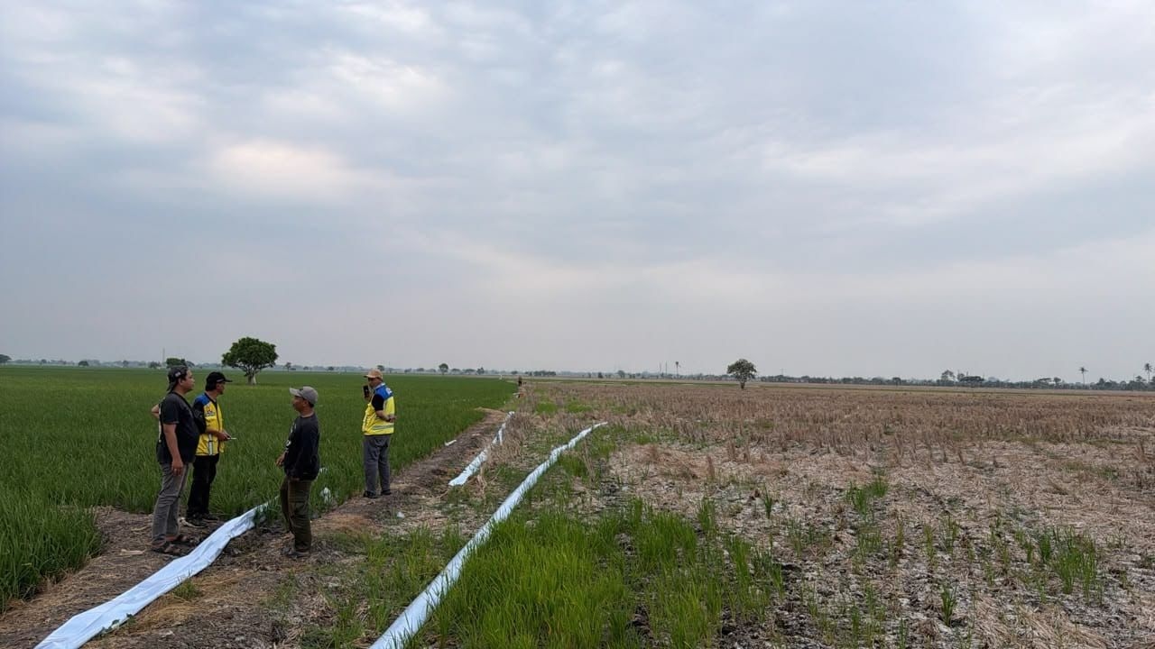 Kementerian PU Kerahkan 3 Pompa untuk Atasi Kekeringan 600 Hektare Sawah Bekasi