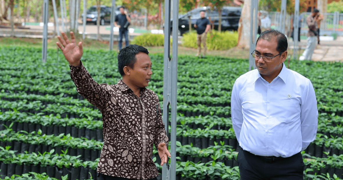 Wamentan Alim Pacu Hilirisasi untuk Dongkrak Daya Saing Perkebunan