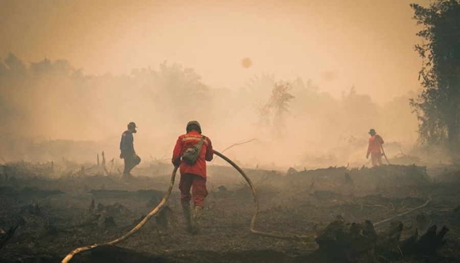 Water Bombing Dimaksimalkan Atasi Karhutla Tanjung Putting