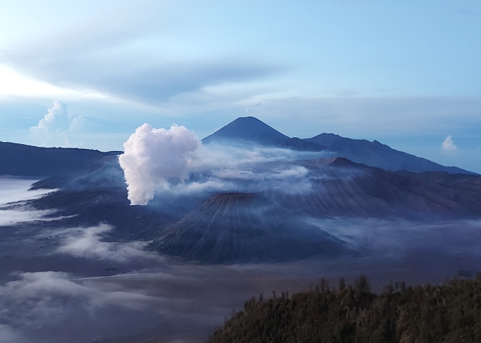 Fakta-fakta Terbaru Kebakaran Di Gunung Bromo