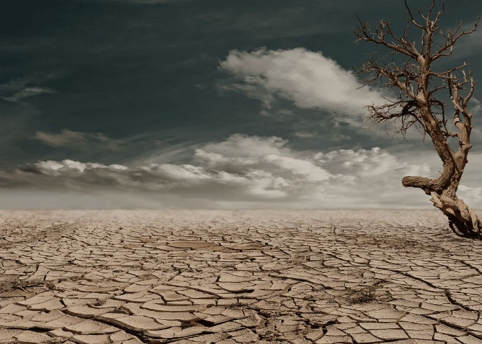 36 Persen Wilayah Indonesia Sudah Masuk Musim Kemarau