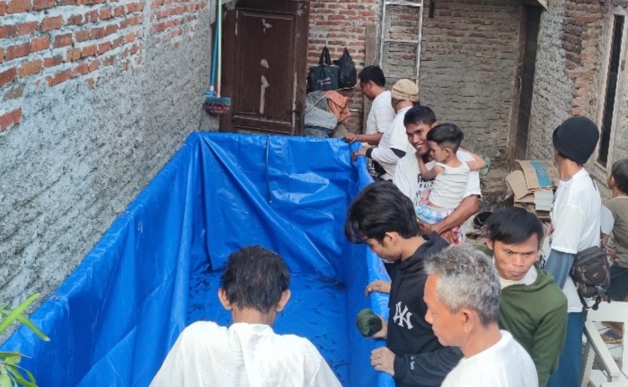 Berikan Pelatihan, GMP: Petani Di Kota Cirebon Mulai Beralih Membudidayakan Ikan Lele Dan Ikan Hias
