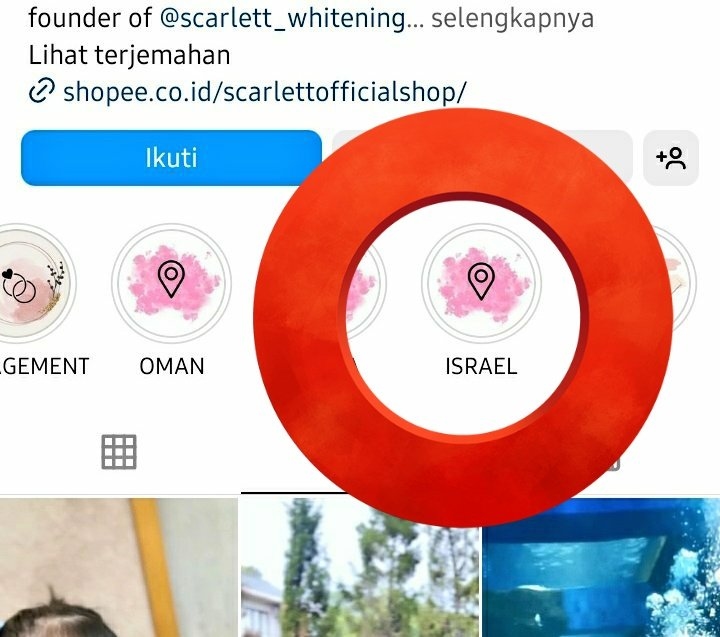 Warganet Ungkap Highlight Story Soal Israel Di IG Felicya Angelista Pemilik Scarlett
