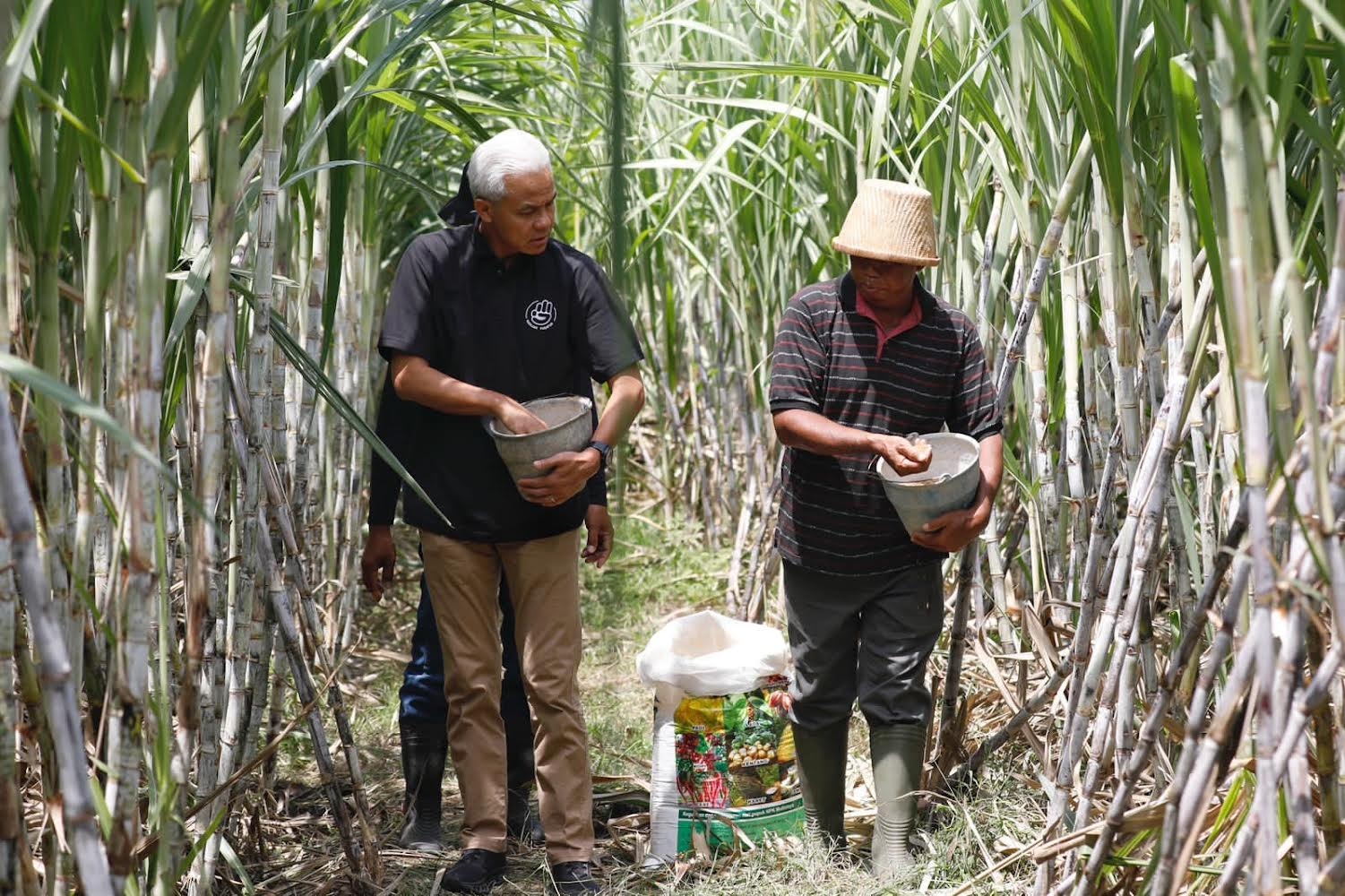Petani Tebu Minta Kepastian Pembayaran, Mendag Evaluasi Permendag 16/2025