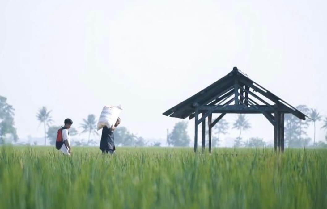 Alokasi Pupuk Subsidi Naik 100 Persen, Petani di Papua Selatan Siap Tingkatkan Produktivitas