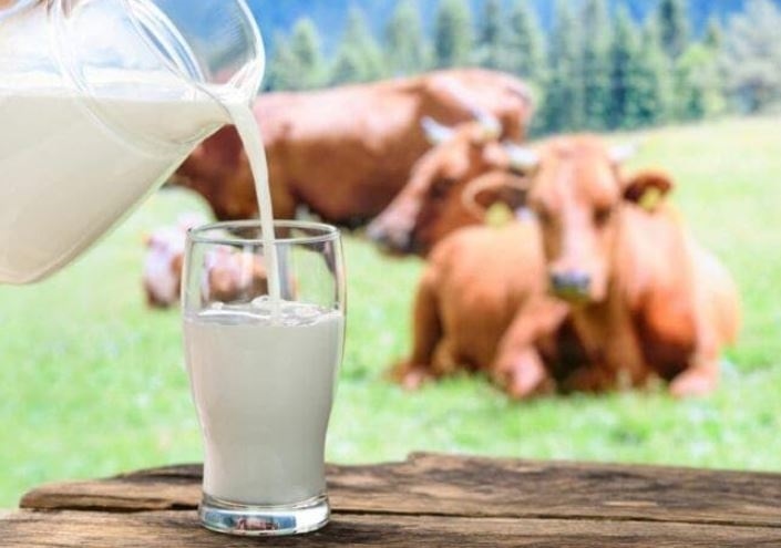 Minum Susu? Jangan Campur dengan 5 Makanan Ini