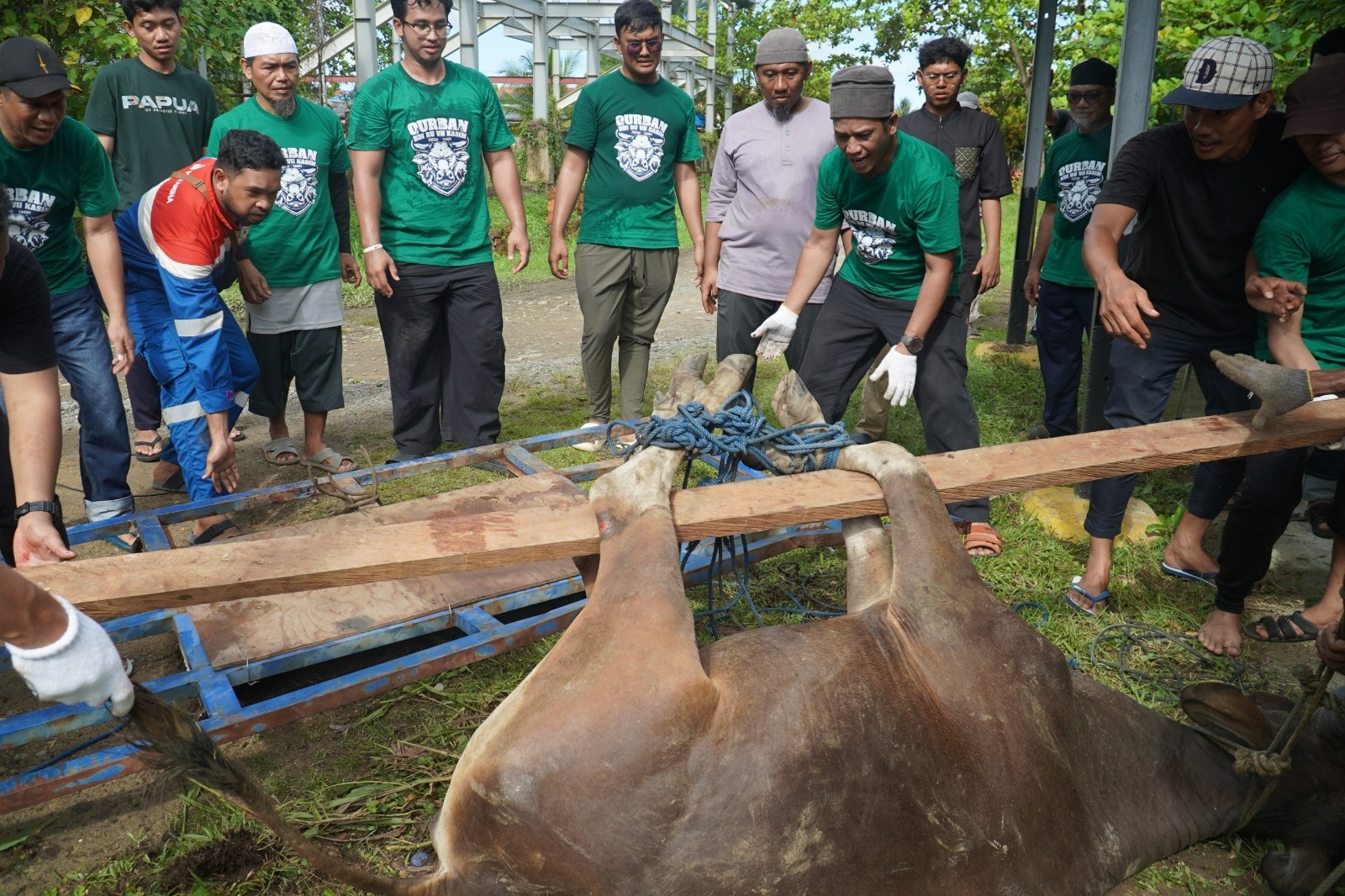 KPI Berbagi 630 Hewan Kurban pada Iduladha 2025