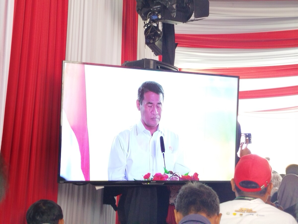 Mentan Andi: Realisasi Distribusi Beras SPHP Tembus 239,5 Ribu Ton di Agustus 2025