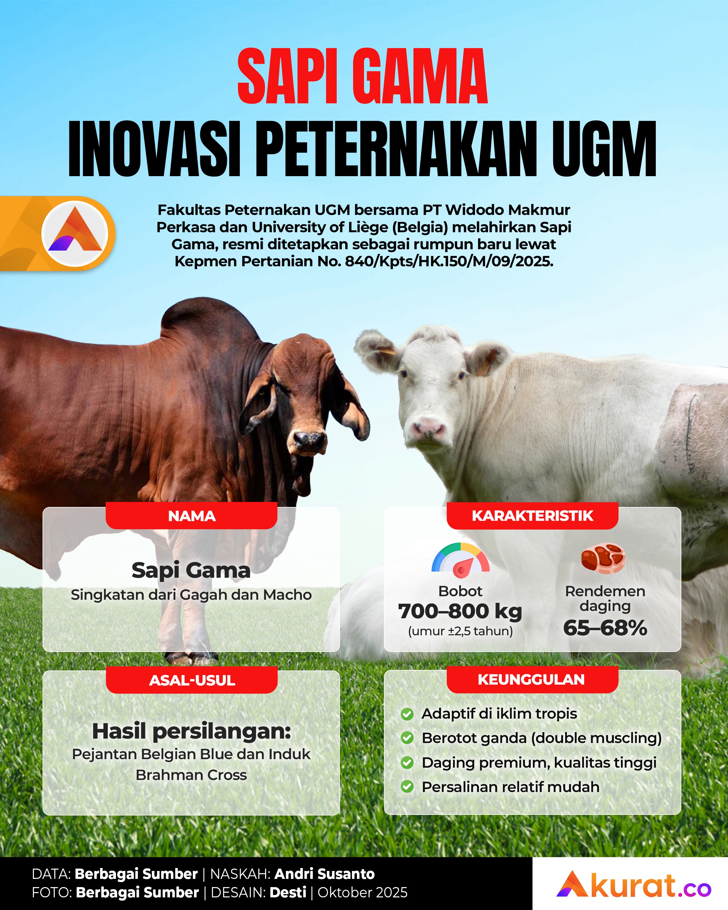 Sapi Gama, Inovasi Peternakan UGM