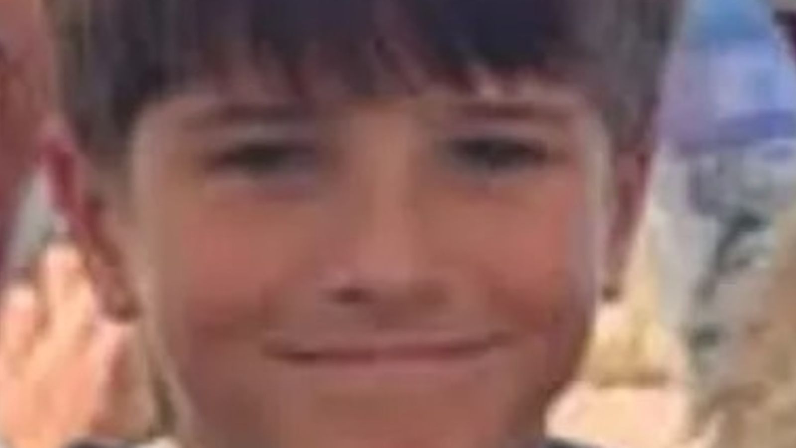 Bocah Australia Tewas Usai Diserang Hiu di Pelabuhan Sydney, Hujan Lebat Jadi Pemicu?