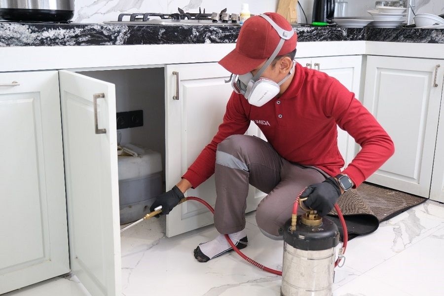 Jasa Basmi Rayap Profesional Hanya di FUMIDA