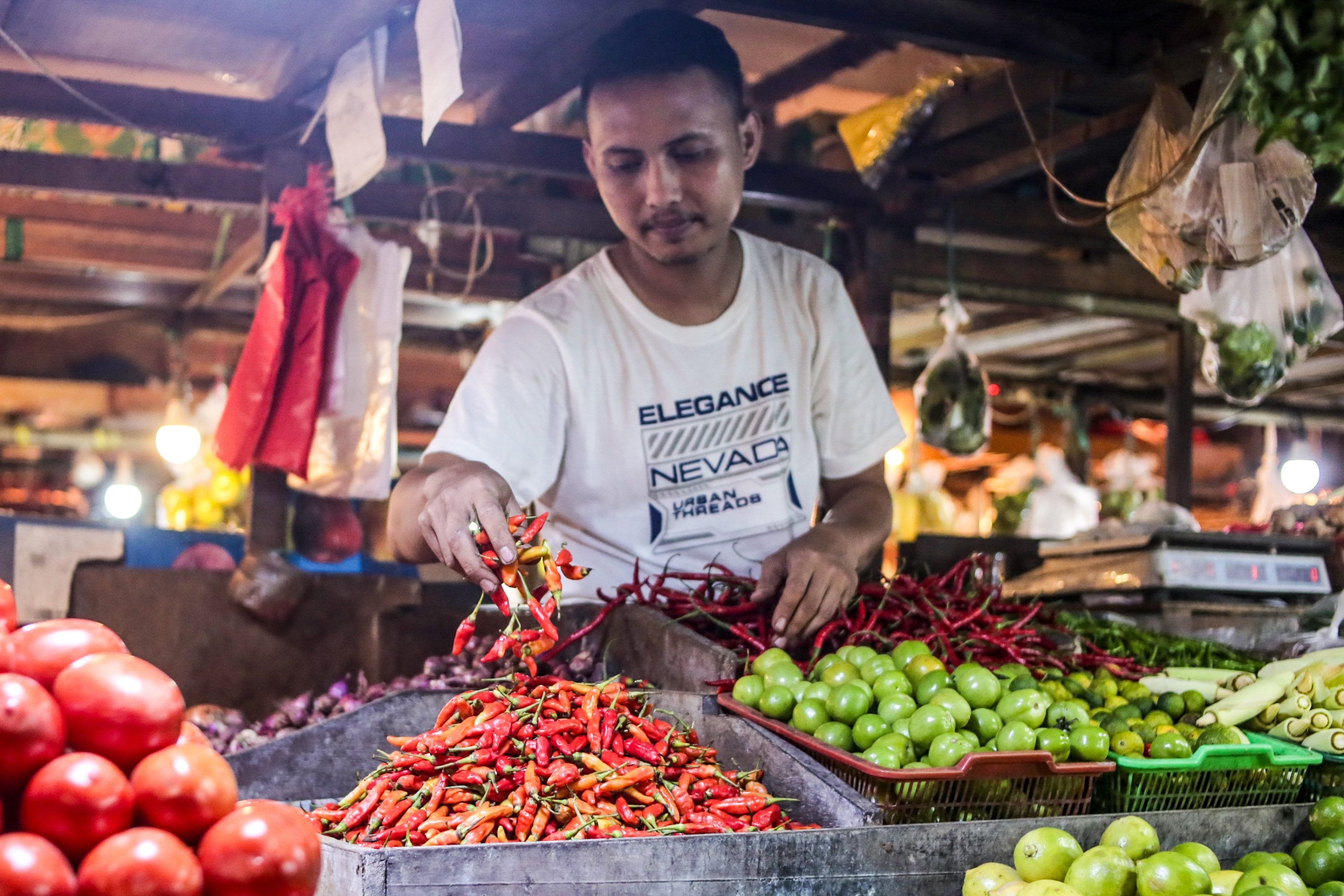 Kementan Taksir Cabai Rawit Surplus 99 Ribu Ton di Maret 2026, Cabai Besar Surplus 11 Ribu Ton