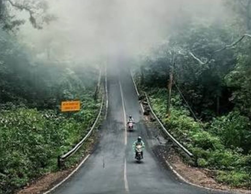 Kenapa Pagi Berkabut Setelah Hujan? Ini Penjelasan Ilmiahnya