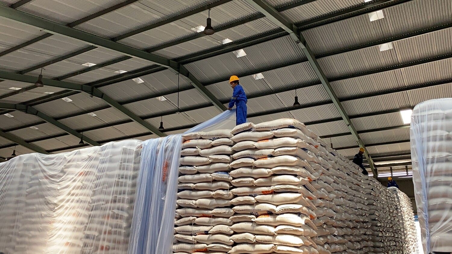 Bulog Perketat Pengawasan Harga Beras Usai Swasembada 2025