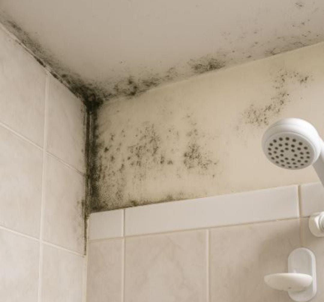 Masalah Jamur di Kamar Mandi, dari Penyebab hingga Cara Membersihkan