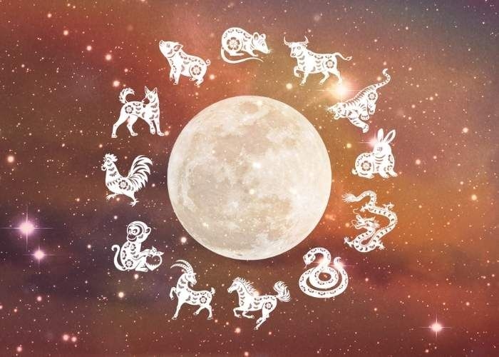 Ramalan Shio Terbaru, 6 Januari 2026: Waktu Tepat Ambil Peluang atau Tahan Diri?