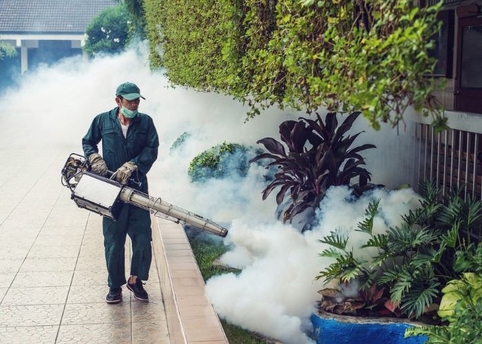 Waspada! Ini Bahaya Fogging Nyamuk bagi Tubuh dan Lingkungan
