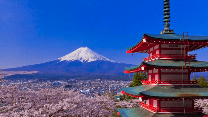 Fujiyoshida Jepang Batalkan Festival Bunga Sakura karena Lonjakan dan Ulah Wisatawan