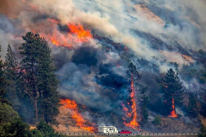 Kebakaran Hutan Melanda California Selatan, Warga di Sekitar Lokasi Diminta Evakuasi