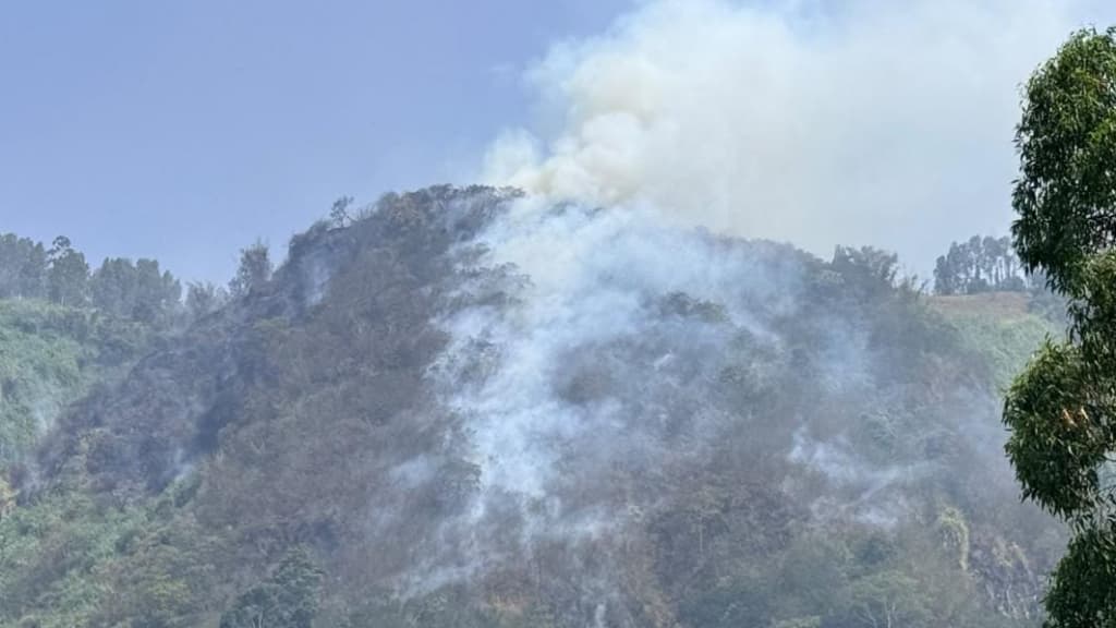 Tiga Petugas Gugur Saat Padamkan Kebakaran di Bromo