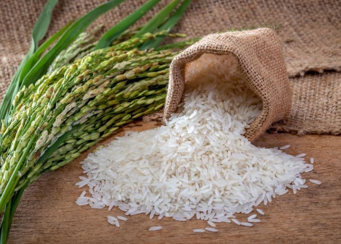 Beras Fortifikasi Adalah Apa? Kenali Pengertian dan Perbedaannya dengan Beras Biasa
