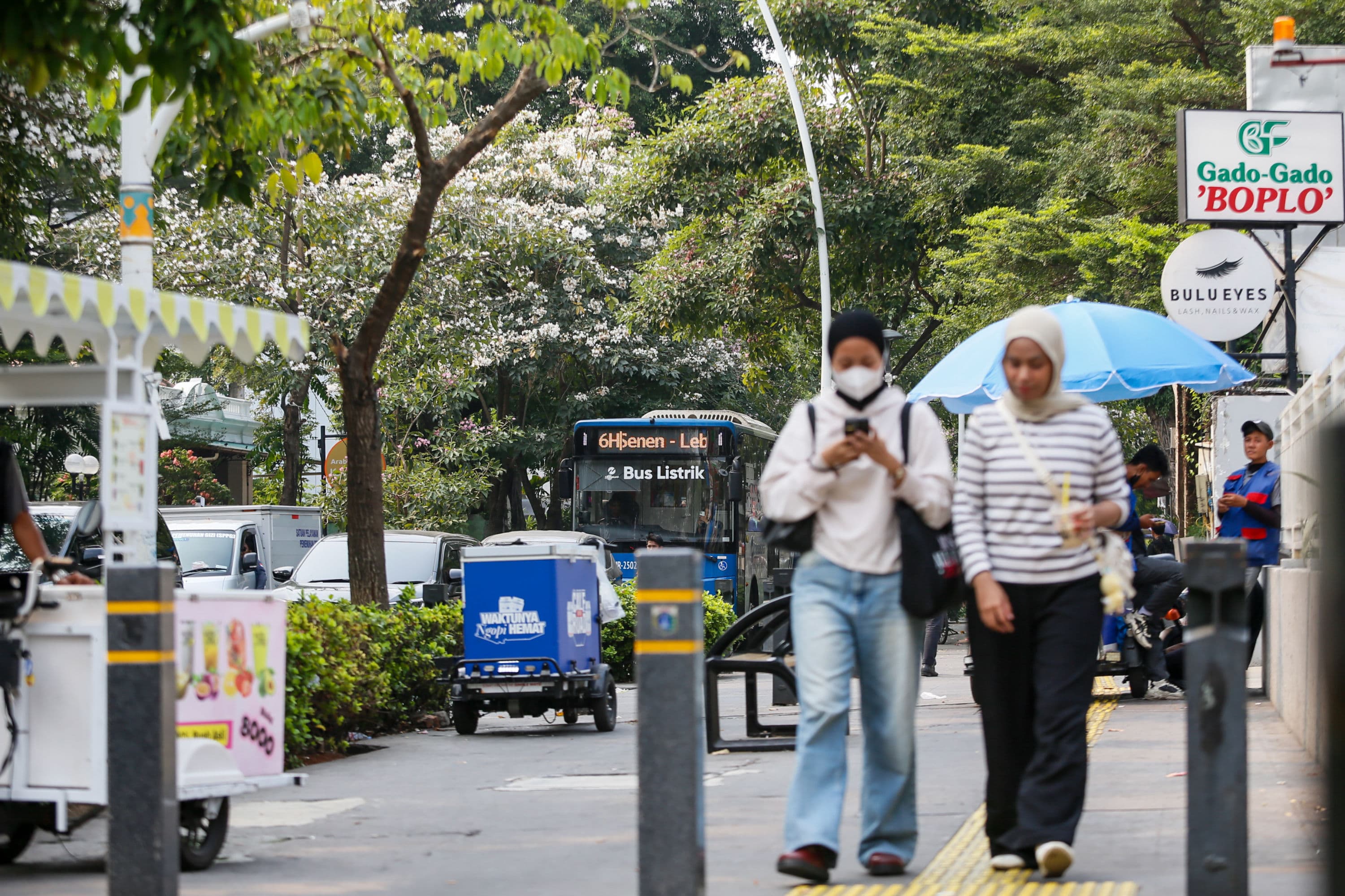 Pejalan kaki melintasi bunga tabebuya yang bermekaran di sepanjang Jalan Cikini, Jakarta Pusat, Minggu (11/10/2026). AKURAT.CO/Endra Prakoso
