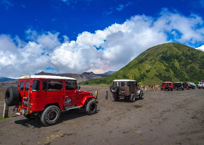 Dampak Kebakaran Bromo, Hilangnya Keanekaragaman Hayati Dan Sumber Air