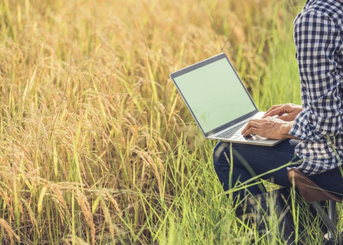 7 Rekomendasi Software HRIS Terbaik di Indonesia 2025, Cocok untuk Semua Skala Bisnis