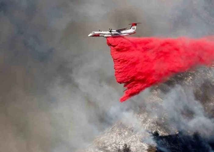Penyebab Kebakaran Hutan Los Angeles Dipandang dari Tafsir Al-Qur'an