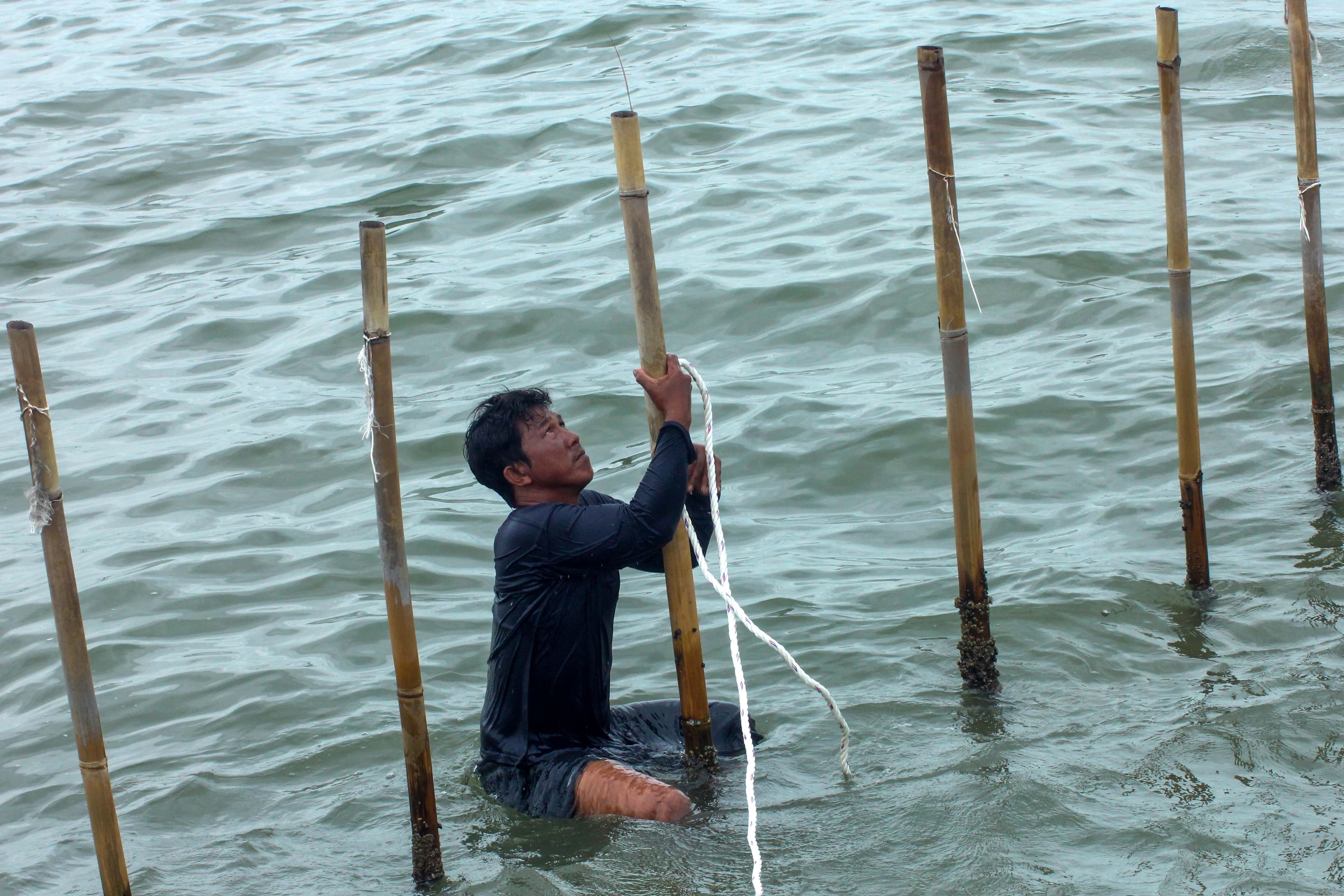 Menteri KP Sidak Pembongkaran Pagar Laut di Tangerang, TNI AL Diminta Kawal Proses Hukum