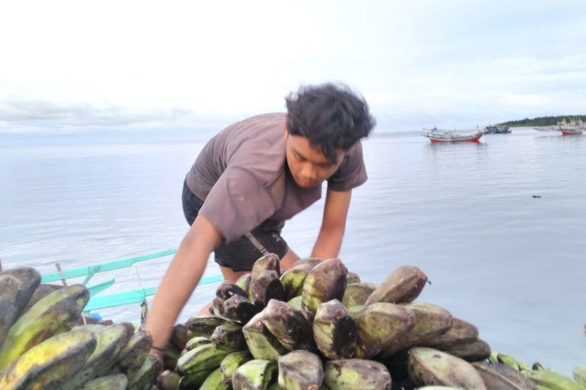 Miris, Krisis Transportasi di Pelabuhan Pulau Baai, Masyarakat Adat Enggano Rugi Rp2 Miliar per Bulan