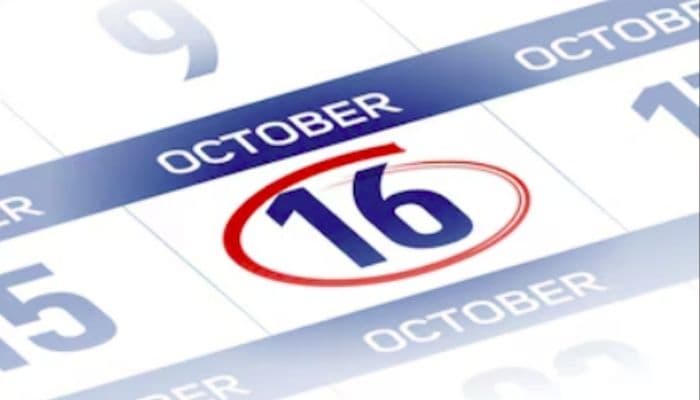 Tanggal 16 Oktober Hari Apa? Ini 6 Peringatan Penting dari Hari Pangan Sedunia hingga Hari Kucing Sedunia